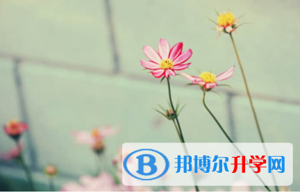 內江2022年中考線是好多