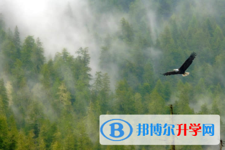 內(nèi)江2022年中考線預(yù)測(cè)