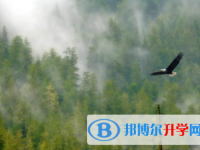 內(nèi)江2022年中考線預(yù)測