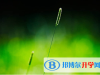 內江2022年中考藝體時間