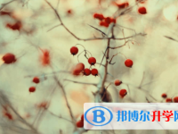 內江2022年中考怎樣改志愿