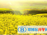 內江2022年中考怎樣調劑