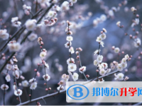 內江2022年中考招辦電話