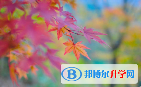 內江2022年中考招考信息
