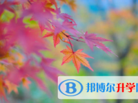 內江2022年中考招考信息