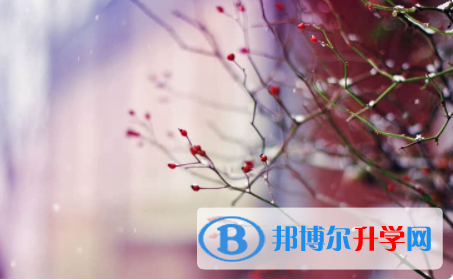 內江2022年中考招生辦