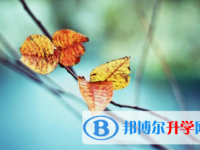 內江2022年中考招生計劃查詢