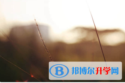 內江2022年中考招生情況