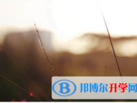 內江2022年中考招生情況