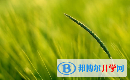 內江2022年中考招生線