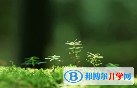 內江2022年中考志愿