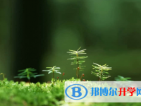 內江2022年中考志愿