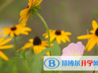 內江2022年中考志愿官網