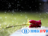 內(nèi)江2022年中考重點線錄取