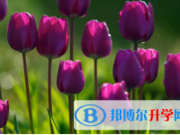 內江2022年中考重點線上線率