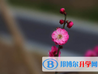 內(nèi)江2022年中考重點線是多少