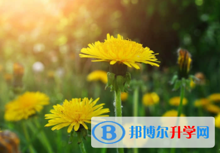 內江2022年中考重點線預測