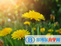 內(nèi)江2022年中考重點線預(yù)測