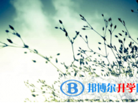 內江2022年中考準考證信息