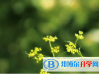內江2022年中考咨詢熱線電話號碼