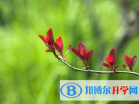 內江2022年中考自主招生成績