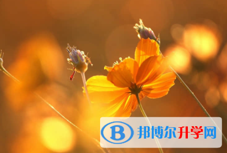 內江2022年中考報名服務平臺