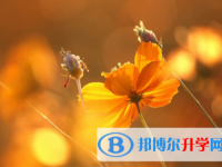 內(nèi)江2022年中考報(bào)名服務(wù)平臺(tái)