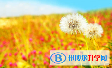 內(nèi)江2022年中考注意事項