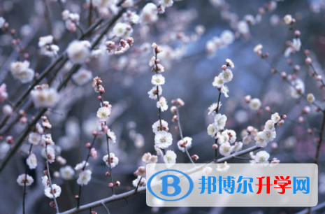內江2022年中考狀元