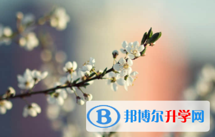 內(nèi)江2022年中考考試要帶什么