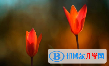 內(nèi)江2022年中考報名是哪個網(wǎng)站