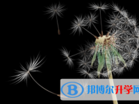 內(nèi)江2022年中考報(bào)名網(wǎng)站登錄