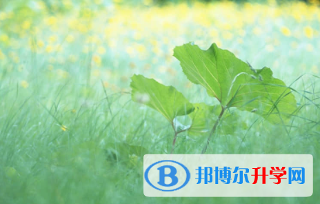 內江2022年中考報名網址