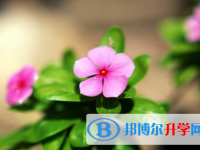 內(nèi)江2022年中考報(bào)名系統(tǒng)網(wǎng)址