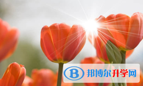 內江2022年中考網(wǎng)上志愿如何打印