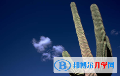內江2022年如何改中考志愿