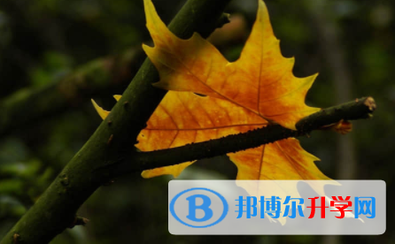 內江2022年中考填報志愿后還可以改嗎