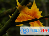 內江2022年中考填報志愿后還可以改嗎