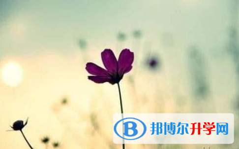 內江2022年中考調劑志愿