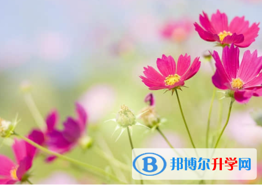 內江2022年中考志愿查詢