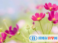 內江2022年中考志愿查詢
