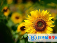 內江2022年中考志愿更改