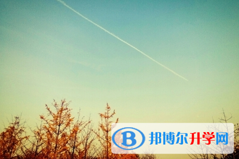 樂山2022年查詢中考成績上哪個網站