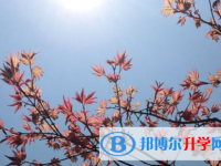 樂山2022年如何查詢中考錄取結果