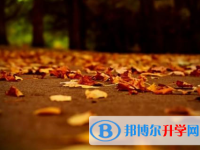樂山2022年外地生中考怎沒成績