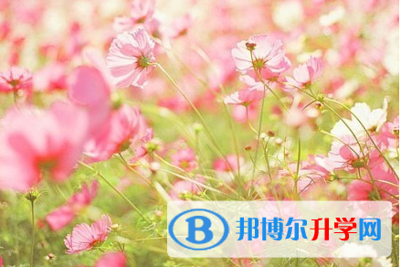樂山2022年怎樣查詢中考藝體考試成績