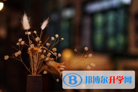樂山2022年中考報名查詢