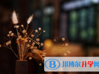 樂(lè)山2022年中考報(bào)名查詢