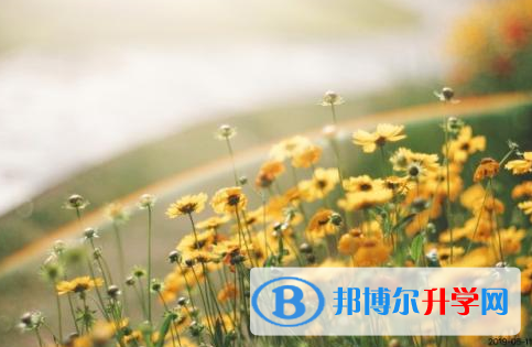 樂山2022年中考查詢成績網址
