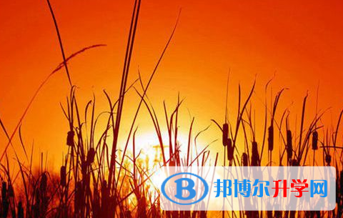 樂山2022年中考成績查詢方法
